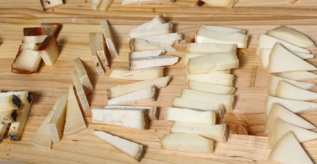 Muestras de queso cortadas en bastones, cuñas y tacos, agrupadas por tipo en filas sobre una tabla de madera clara, listas para repartir en una cata.